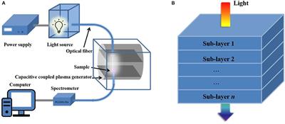 In situ Measuring Film-Depth-Dependent Light Absorption Spectra for Organic Photovoltaics